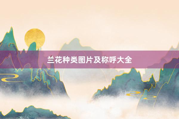兰花种类图片及称呼大全